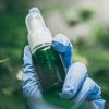 CBD hemp oil, Hand holding bottle of Cannabis oil